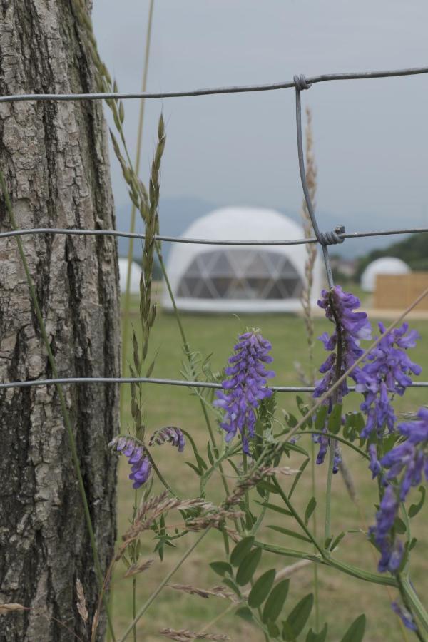 Glamping Resort Dolny Kamenec Exterior photo